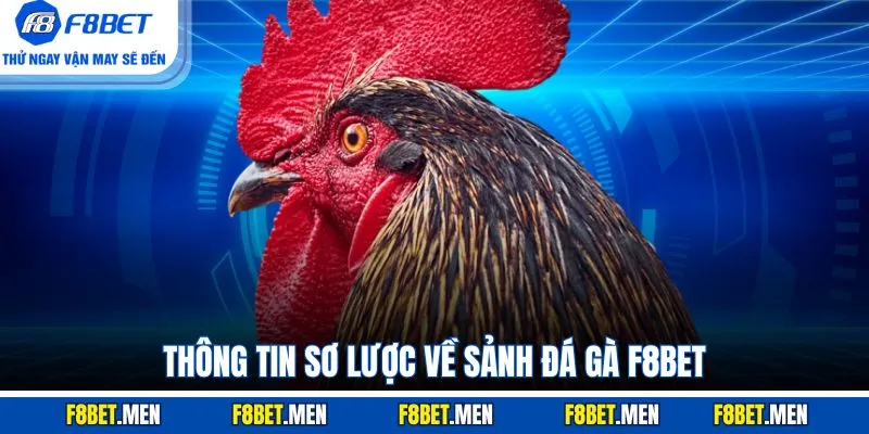 Thông tin sơ lược về sảnh Đá Gà F8BET