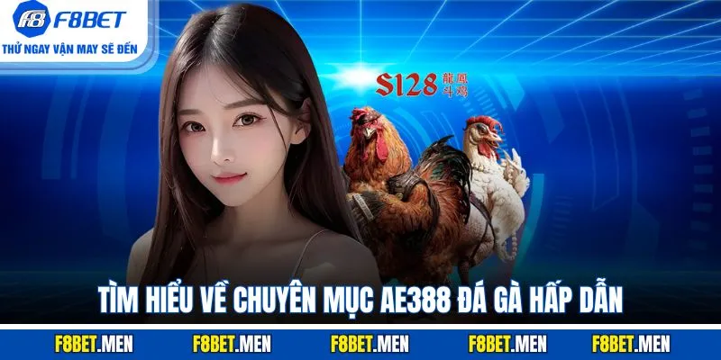 Tìm hiểu về chuyên mục AE388 đá gà hấp dẫn