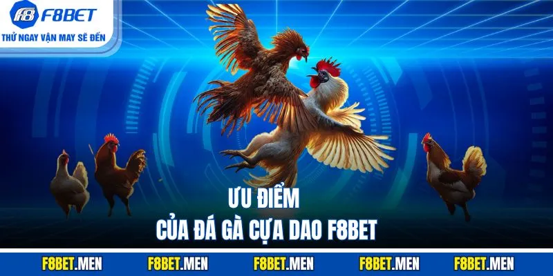 Đá Gà Cựa Dao F8BET - Sân Chơi Lôi Cuốn, Luật Chơi Đơn Giản 3 Ưu điểm của đá gà cựa dao F8BET